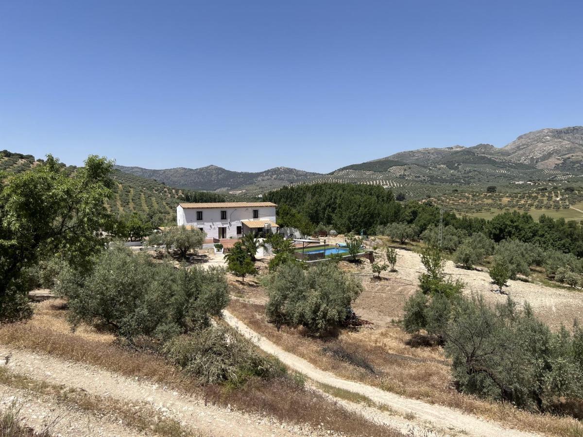 Alojamiento Rural Cortijo Alameda, Las Lagunillas 普里埃格·德·科尔多巴 外观 照片