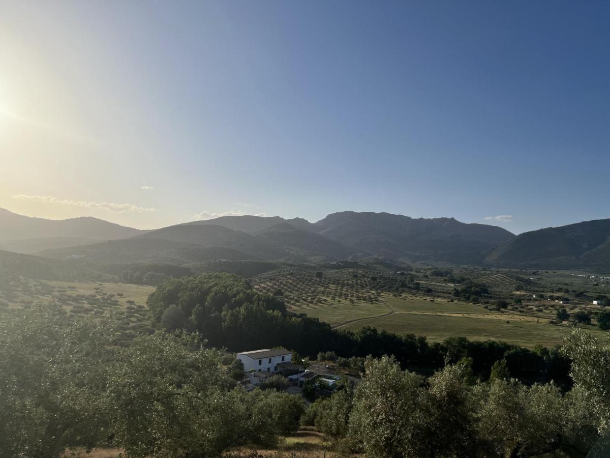 Alojamiento Rural Cortijo Alameda, Las Lagunillas 普里埃格·德·科尔多巴 外观 照片